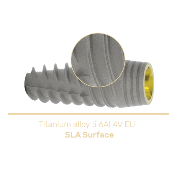 M+ DENTAL IMPLANTS CONICAL CONNECTION. (SCA) - Image 2