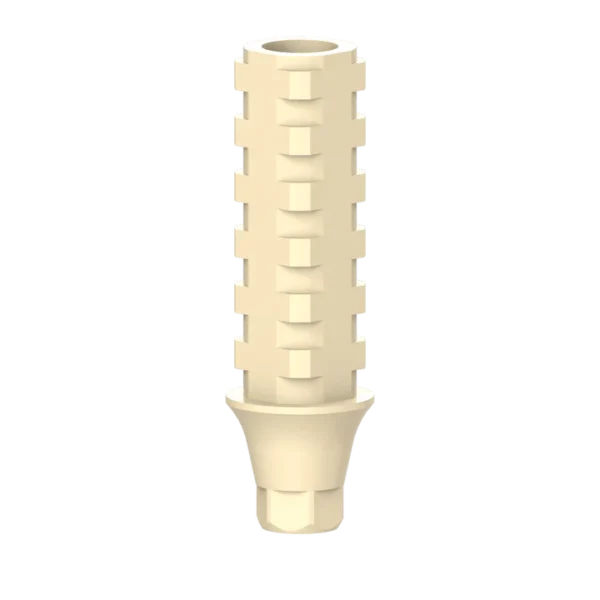 Temporary Abutment NP with HEX