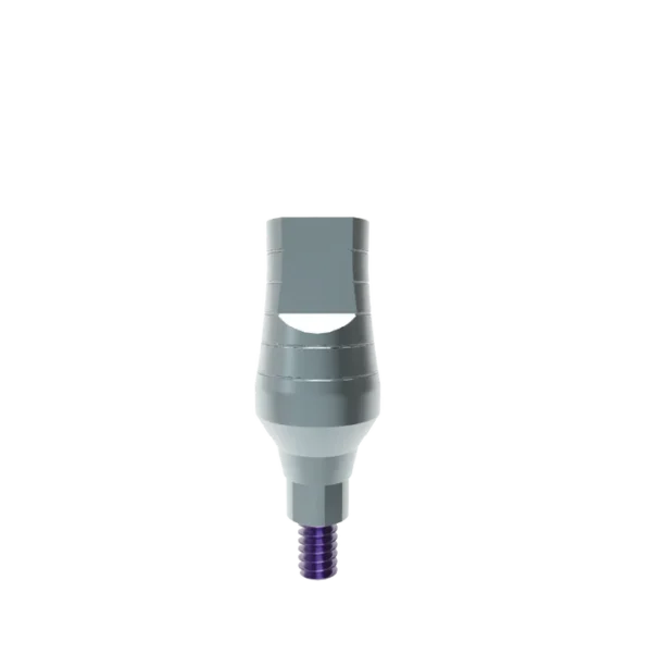 Straight Abutments NP